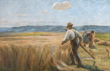 Erntearbeiter
